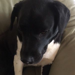 Meet your Posher, Rilyn